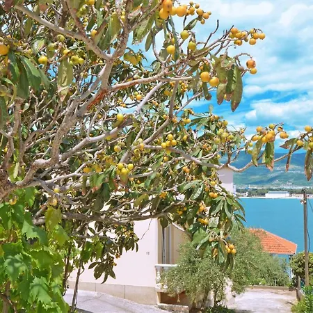 Arbanija A2 * Trogir